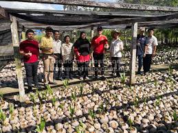 Sabah forestry department, locked bag 68, mile 6, labuk road, 90000 sandakan sabah malaysia Junz Puji Usaha Jabatan Pertanian Sabah Bangunkan Industri Kelapa Utusan Borneo Online