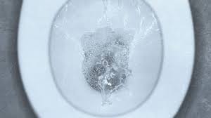 Then in jan 2019 he was diagnosed with stage 2 hg bladder cancer. Mucus In Urine Causes Tests And Treatment