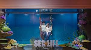 Little ones can also wander over to penguin point at sea life london aquarium and enter the winter wonderland home of the aquarium's amazing colony of gentoo penguins. Sea Life Aquarium Admission Ticket Klook Us