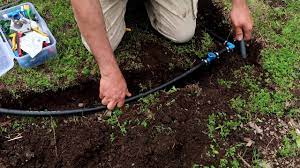 Mulching around fruit trees helps the soil retain moisture, while drip irrigation systems can encourage fruit trees to produce dense, healthy roots and drink enough water for juicy fruit. Installing A Drip Irrigation System For Trees And Bushes Youtube
