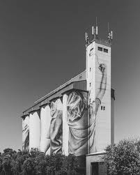 Coonalpyn Silo Art By Guidovanhelten Is On Another Level Canonaustralia Natgeoau Natgeofineart Takemetoaustrali Mural Art Street Art Installation Art