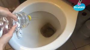 Comment Nettoyer Des Toilettes Avec Du Vinaigre Blanc Astuce Menage Detournement Produits Menagers Nettoyage Wc