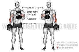 Stand up straight with the dumbbells by your sides. Cross Body Hammer Curl Instructions And Video Weight Training Guide