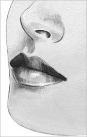 Easy drawings step by step flowers thefrangipanitree com. 100 Tutorials To Teach You How To Draw Lips Drawing Drawings Drawing Sketches