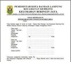 Contoh surat keterangan penghasilan guru honorer sd berikut ini adalah sebuah contoh surat keterangan gaji. 16 Contoh Format Surat Penghasilan Orang Tua Kumpulan Contoh Surat