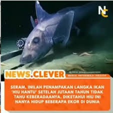 Check spelling or type a new query. Discover Ghost Shark S Popular Videos Tiktok