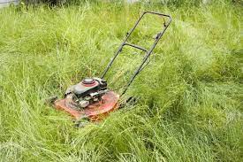 Expert Lawn Care Advice Let It Go Natural Lawn Care Lawn Mower Lawn