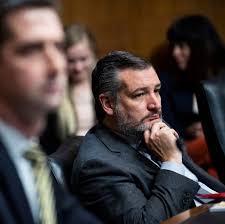 Senate Republicans Hound Biden Judicial Nominee Nina Morrison