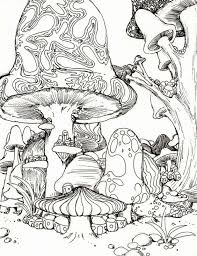 June 8, 2014 by kawarbir. Trippy Mushroom Coloring Page Coloring Home