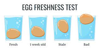 Egg Float Test Fact Or Fiction Chickens And More