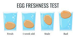 If the narrow end of the egg tilts upward, the egg is still usable, but not quite as fresh. Egg Float Test Fact Or Fiction Chickens And More