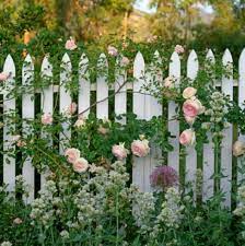 Sublime 40 Awesome Eden Rose Garden To Enhance Your Beautiful Garden Https Decoredo Com 12948 40 Awesome Eden Ros Climbing Roses Garden Vines Garden Fencing