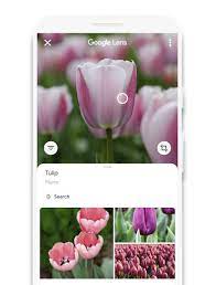 Maybe you would like to learn more about one of these? Google Lens Search What You See