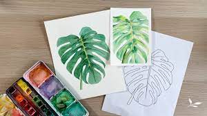 How To Sketch Monstera Deliciosa Free