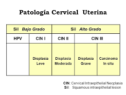 ¿qué es el cáncer de cuello de útero? Hpv Cancer De Cuello Uterino Vacuna Hpv Ppt Descargar
