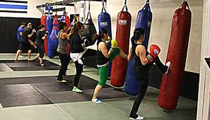 best mma mixed martial arts gym in