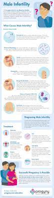 Male Infertility Infographic