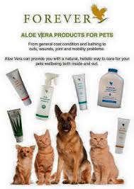 Natural Quality Products For Our Pets Well Being Contact For More Info Aloe4u Sboyd Flp Com Forever Living Aloe Vera Forever Products Forever Living Products