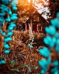 150 New Cb Background 2020 Download Cb Editz Background Wallpaper For Photoshop Blurred Background Photography Light Background Images