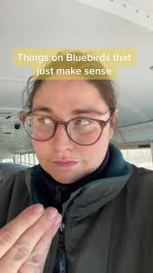 Blue Bird Bus Company Fort Valley Ga