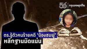 เปิดรายงานความคืบหน้าคดี น้องชมพู่ เสียชีวิต 2 เดือนของสำนักงานตำรวจแห่งชาติ ซึ่งมีการชี้แจงอย่างละเอียดใน 7 ประเด็น ระบุผลชันสูตรสัปดาห์. Axd9e7f3izudam