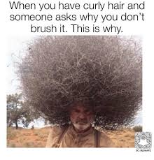 I hope your day is as nice as my hair. Frizzy Hair Funny Photos