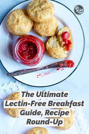 The Ultimate Lectin-free Breakfast Guide Recipe Round-up - Creative In My Kitchen