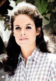 Elizabeth Ellen (Baur) Springer (1947-2017)