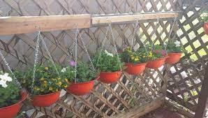 Repurposed Old Hard Hats As Planters Hard Hats Upcycled Projects Planters