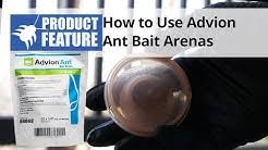 Learning how to do your own pest control is mostly about learning how to prevent pests from ever entering your home. Domyown Youtube