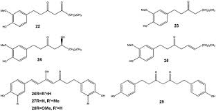 Image result for Aframomum polyanthum