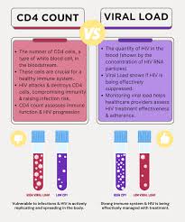 Image result for CD4 Cell Count