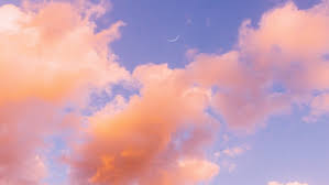 Looking for the best wallpapers? Wallpaper Clouds Sky Porous Pink 2560x1600 Wallpaper Teahub Io