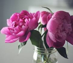 Tricks for making flowers stay fresh and look good are a dime a dozen. Nifty Fresh Flower Trick Fresh Flowers Flowers Peonies