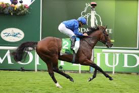 A camel is a horse designed by committee posted by sr on april 16, 2004. News Go Racing Yorkshire Horse Racing