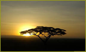 Meru National Park Samburu Lake Nakuru Lake Baringo Lake Naivasha From Moonlight Tours Expedition Safari Lodge National Parks Nakuru