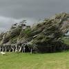 Slope point is the most southerly point of new zealand's south island. 1