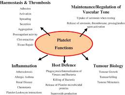 Image result for Platelet Function Closure Time