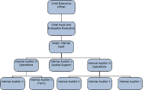 Multi Year Internal Audit Plan 2018 2019 To 2019 2020