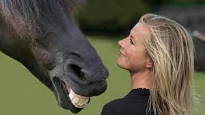 Horses Understand Human Facial Expressions Science Aaas
