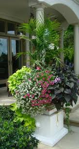Planters Garden Containers Container Gardening Plants