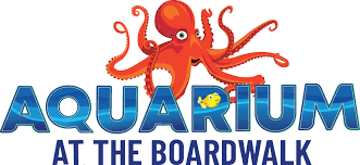 Group Non Profit Discounts Aquarium At The Boardwalk