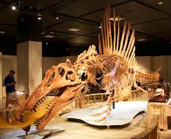 Spinosaurus - Wikipedia bahasa Indonesia, ensiklopedia bebas