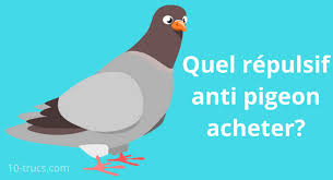 Achat D Un Repulsif Pigeon Repulsif Faire Fuir Les Pigeons Pigeon