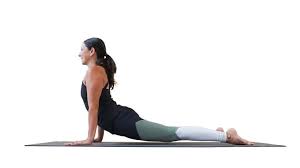 Urdhva Mukha Svanasana Upward Facing Dog Pose Yoga Gaia