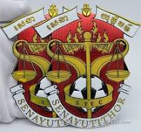 Custom TPU badges | 3D TPU patches with Logo