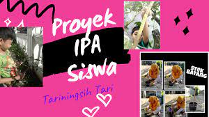 We did not find results for: Proyek Ipa Siswa Cahaya Mentari