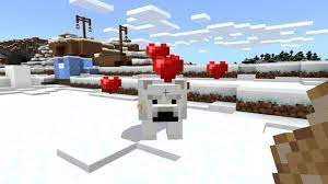 Show us your coolest fantasy creatures. Minecraft How To Tame A Polar Bear Minecraft Tame Polar Bear Youtube
