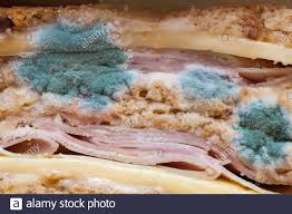 Mold Sandwich Banque D Image Et Photos Alamy