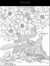 State Flower And State Bird Coloring Page Bird Coloring Pages Detailed Coloring Pages Flower Coloring Pages